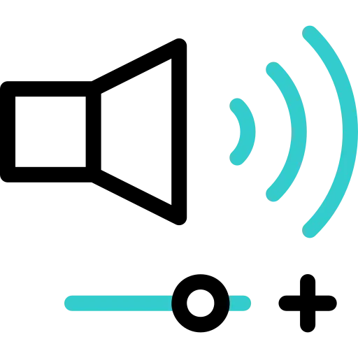 Audio & Visual System